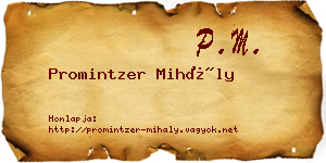 Promintzer Mihály névjegykártya